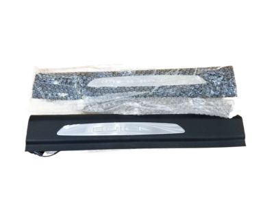 GM Illuminated Front Door Sill Plates in Stainless Steel with Ebony Surround and Buick Script 42500567