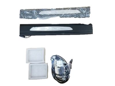 GM Illuminated Front Door Sill Plates in Stainless Steel with Ebony Surround and Buick Script 42500567