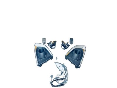 GM Front Foglamp Kit 42647438