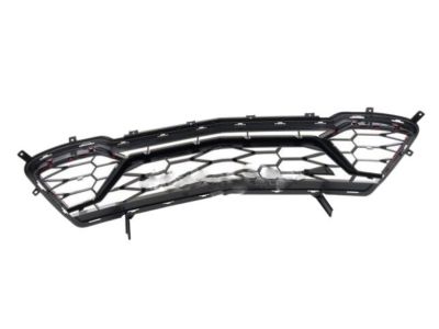 GM Lower Grille in Black with Pull Me Over Red Inserts and SS Emblem 84040593