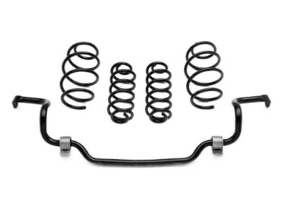 GM Regular Cab (with Diesel Engine) 6-Inch Rectangular Assist Step in Chrome 84106509