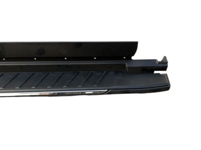 GM Molded Assist Steps in Black 84169079