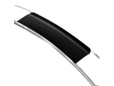 GM 84189699 High-Wing Spoiler Rally Stripe Decal Package in Silver 84189699 GM High-Wing Spoiler Rally Stripe Decal Package in Silver Product Photo 1 of 2