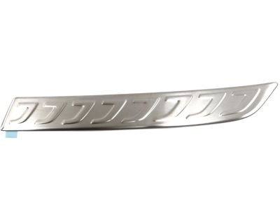 GM Bumper Protector in Brushed Metal 84202817