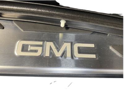 GM Molded Assist Steps in Black 84279671