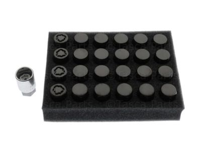 GM Wheel Lock and Lug Nut Kit in Black 84332438