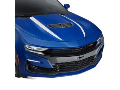 GM Spider Stripe in White Pearl for LS/LT Coupe Models 84356658