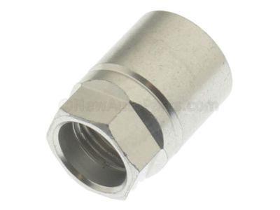 GM Tire Pressure Monitor Nut 84413358