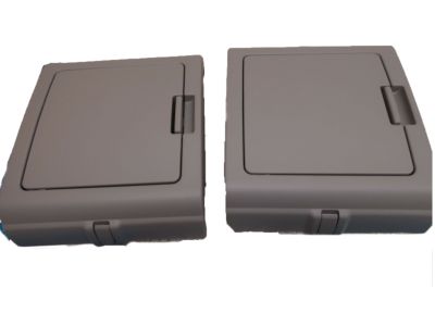 GM Overhead Console Storage System - CD-DVD Holder 88966251
