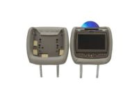 RSE - Head Restraint DVD System