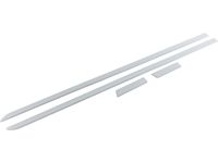 GM Bodyside Molding - 19166384