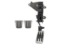 GM Pedal Covers - 19171865