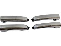 GMC Terrain Handles - 19212052