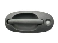 Door Handles