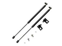 GM Hood Strut