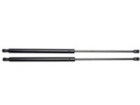 GM Rear Compartment Lid Strut