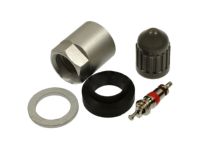 Tire Pressure Monitor Nut Package