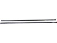 GM Molding/Appliques - 22775457