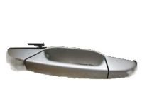 GMC Door Handles - 22980569