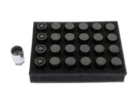 Cadillac Wheel Security - 84332438