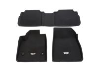 Floor Liners