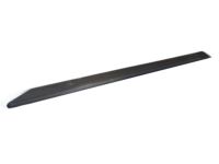 Pontiac Bodyside Molding - 89021880