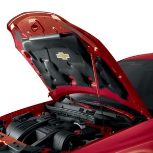 GM Hood Strut,Color:Red (74U) 17800727