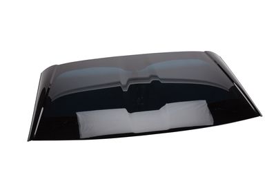 GM Tinted Removable Roof Panel 12499572