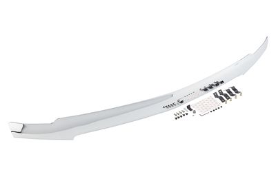 GM 19243803 Hood Protector in Chrome