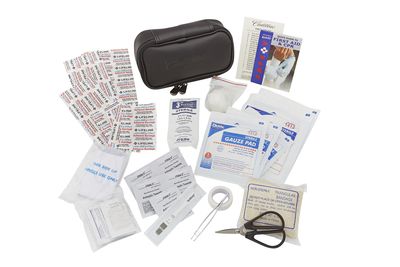GM 84217916 First Aid Kit with Cadillac Logo
