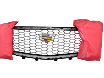85555966 GM Grille in Galvano Silver Mesh with Galvano Silver Surround and Cadillac Logo Product Photo 1 of 1