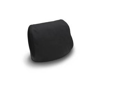 GM Headrest DVD - Security Cover,Note:Neutral (52i) 19166471