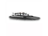 Roof-Mounted Ski Carrier