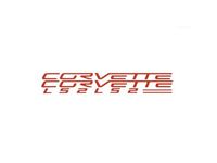 Chevrolet Corvette Engine Cover Decal Package - 19155950