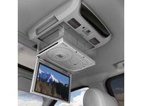 GM Rear Seat Entertainment - 19159898
