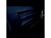 Chevrolet Bodyside Molding - 17802205