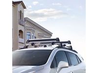 Roof-Mounted Ski Carrier