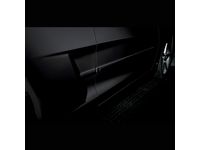Chevrolet Bodyside Molding - 17802207