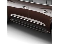 Buick Enclave Assist Steps - 23460314