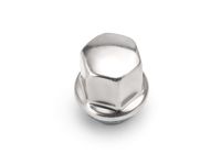 GM 19303308 Lug Nuts in Stainless Steel