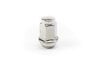 Chevrolet Lug Nuts - 19158920