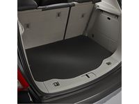 Buick Cargo Protection - 42673119
