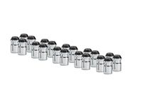 GM 19302059 Lug Nuts in Stainless Steel
