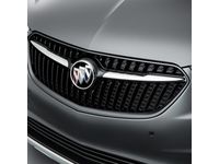 Buick Grille - 42698100