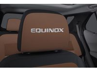 GM Headrest