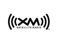 GM XM Satellite Radio - 19166167