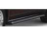 Buick Rainier Assist Steps