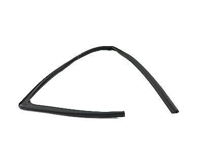 GM 23221451 Weatherstrip Assembly, Front Side Door Window