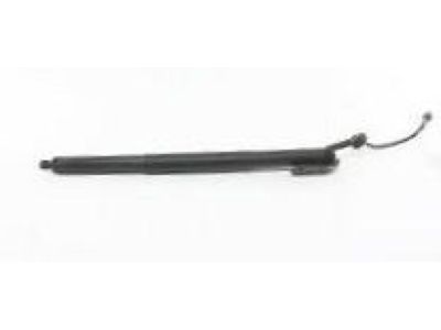 GM 84298333 Strut Assembly, Lift Gate