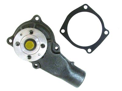 Chevrolet Astro Water Pump - 12491038